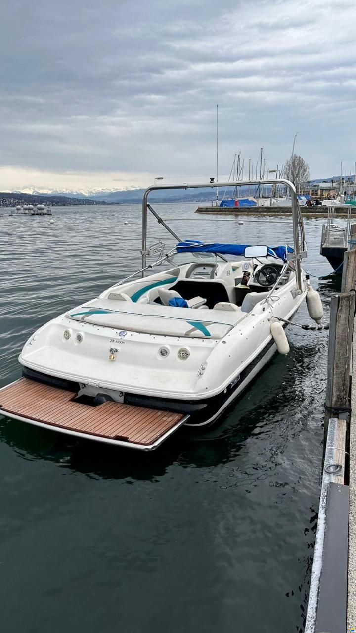 Larson SEI 206 BR