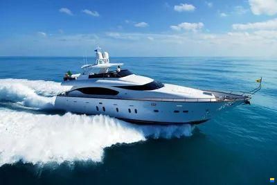 Fipa Italiana 24