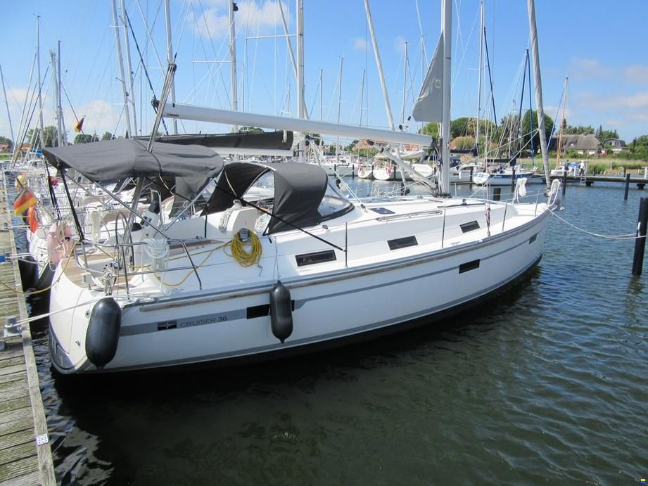 Cruiser 36