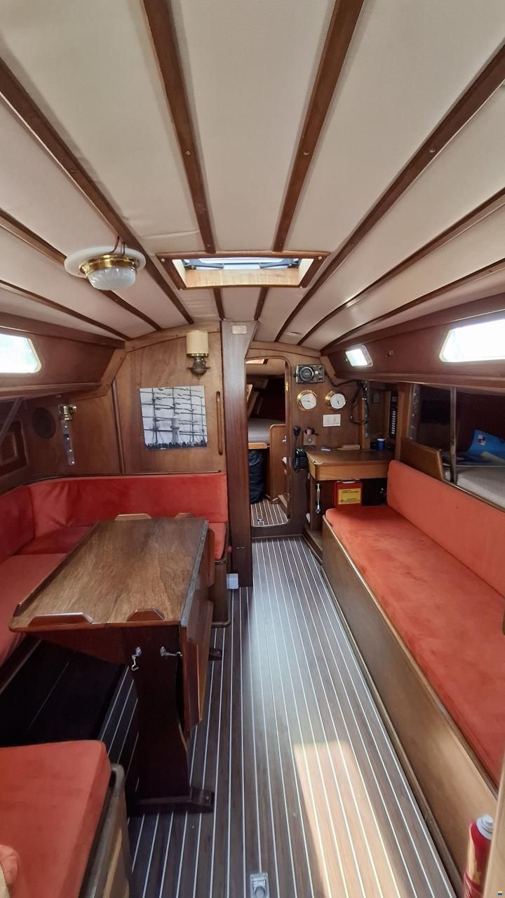 Olympic Carter 37
