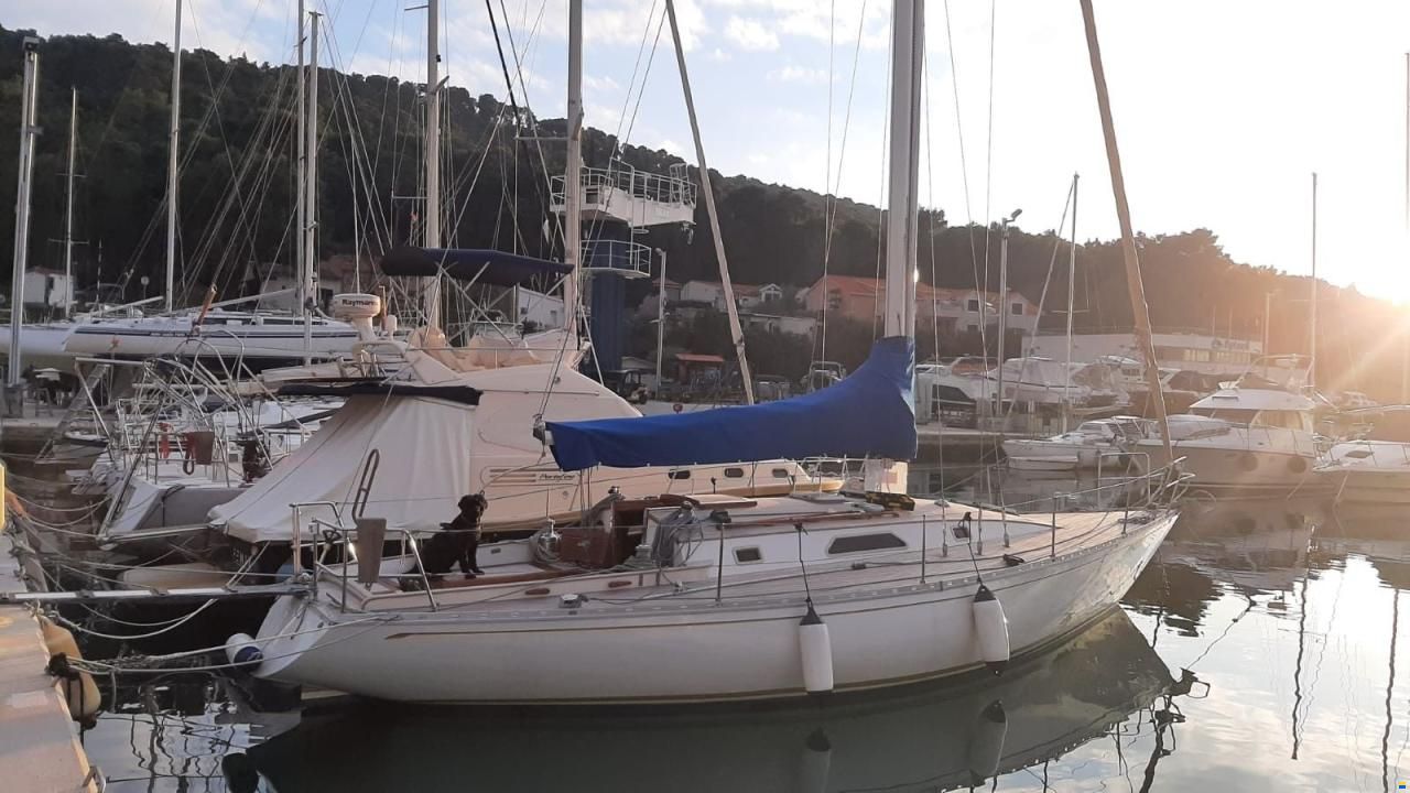 Olympic Carter 37