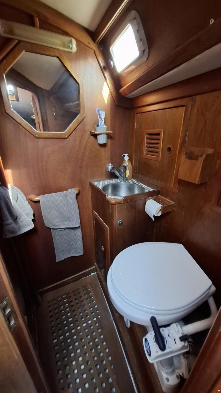 Olympic Carter 37