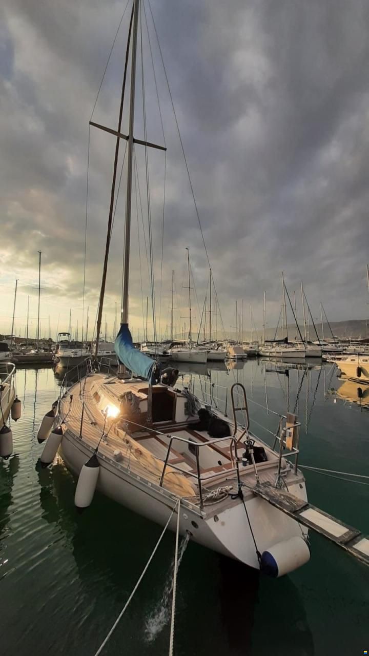 Olympic Carter 37