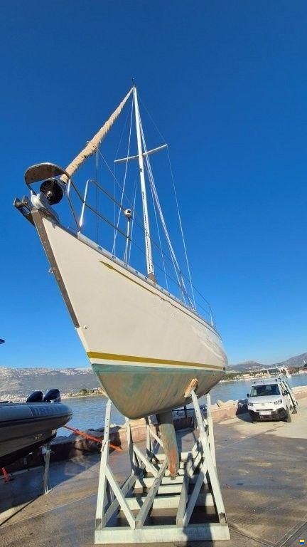 Olympic Carter 37