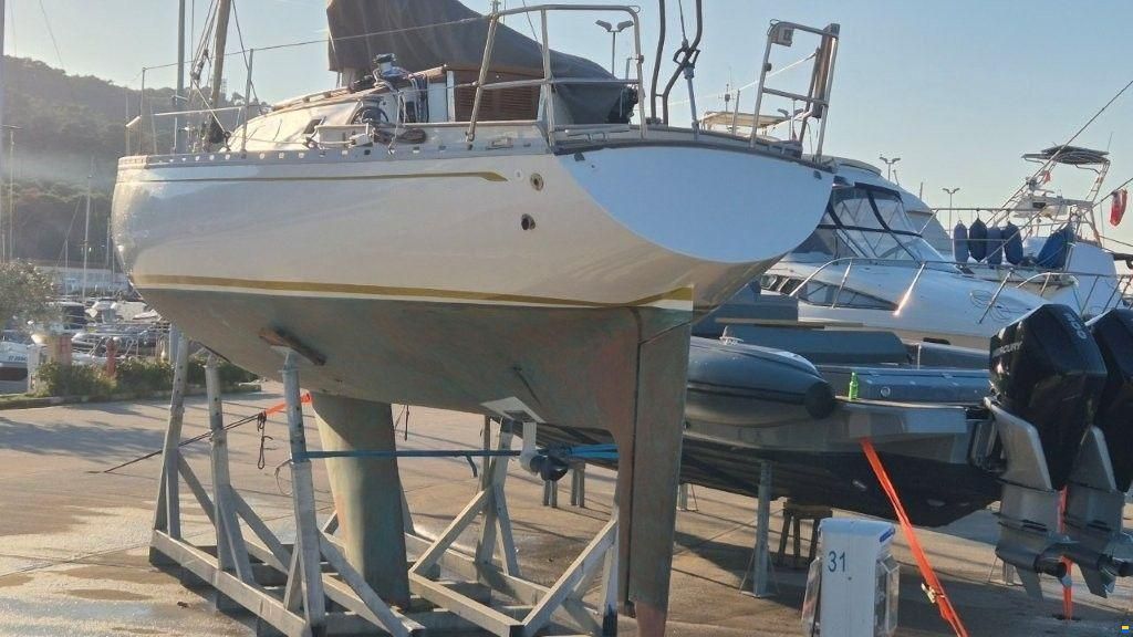 Olympic Carter 37