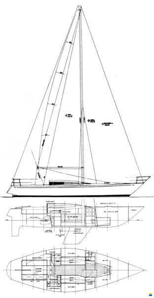 Olympic Carter 37