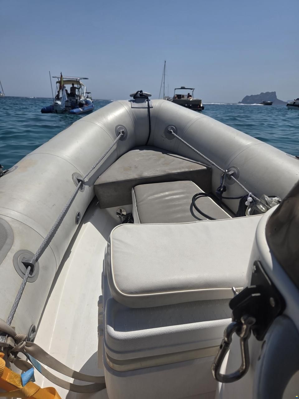 Zodiac Vaillant 450