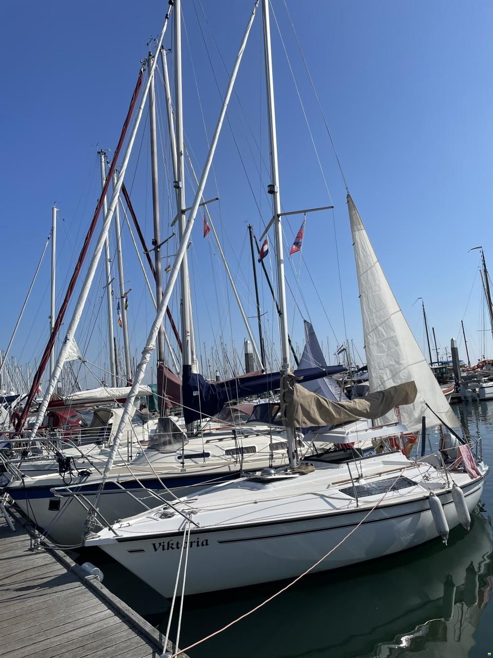 Edel 665