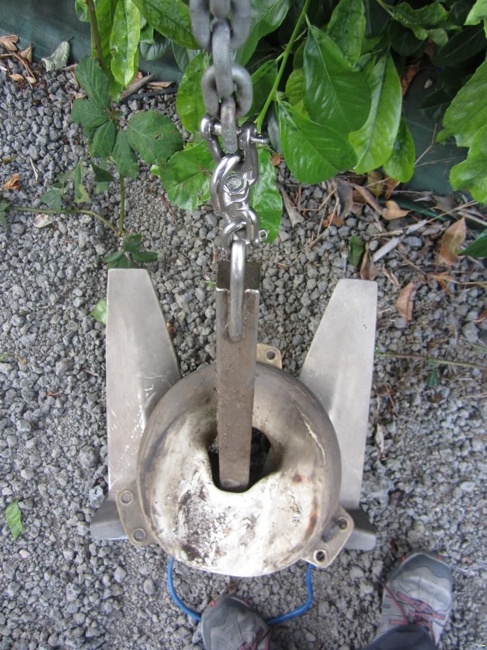 Pedro Bora 41