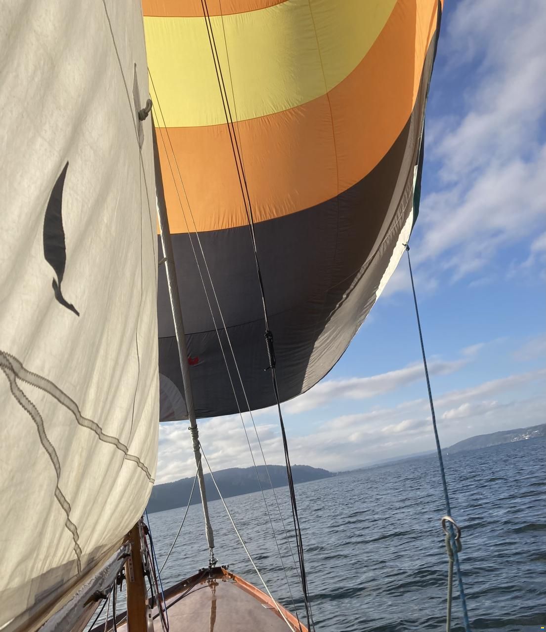 Vineta1 Sport