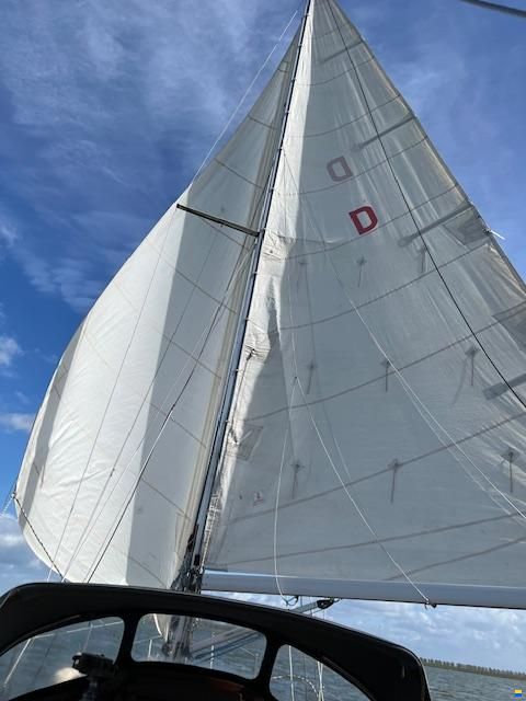 Meyer 850