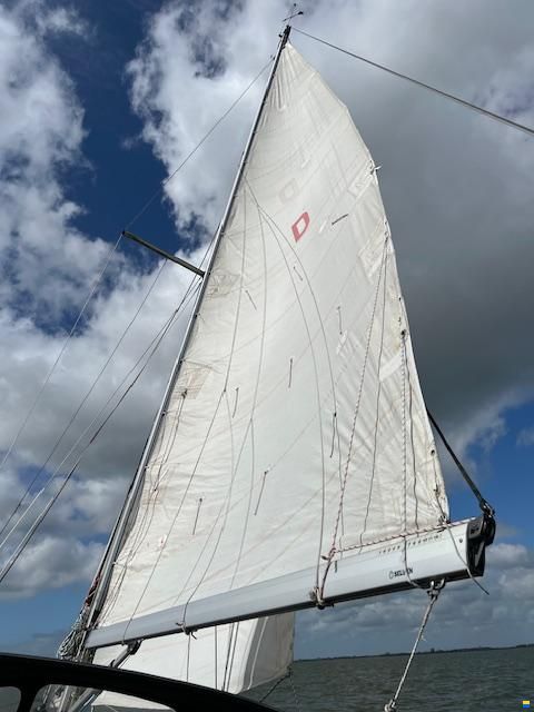 Meyer 850