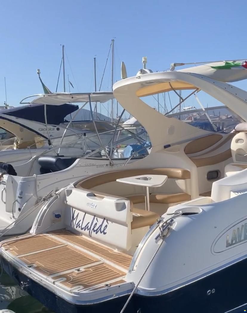 Salpa Laver 32.5