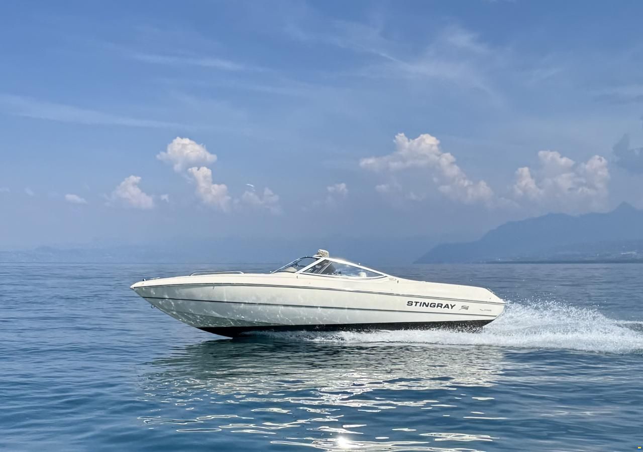 Stingray 200 LX