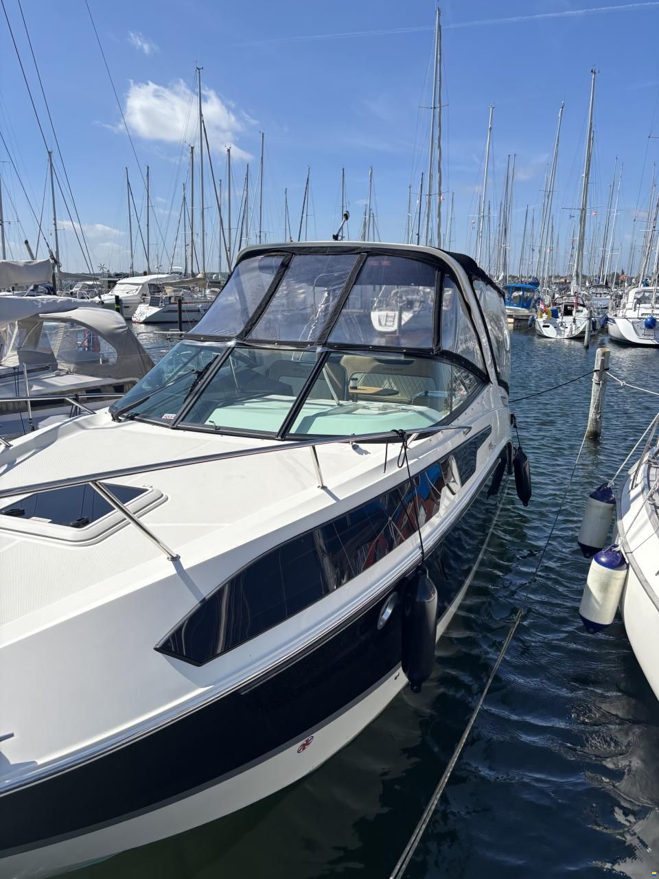 Bayliner Ciera 8