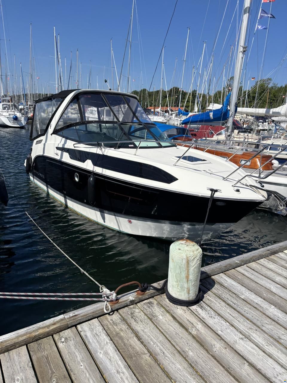 Bayliner Ciera 8
