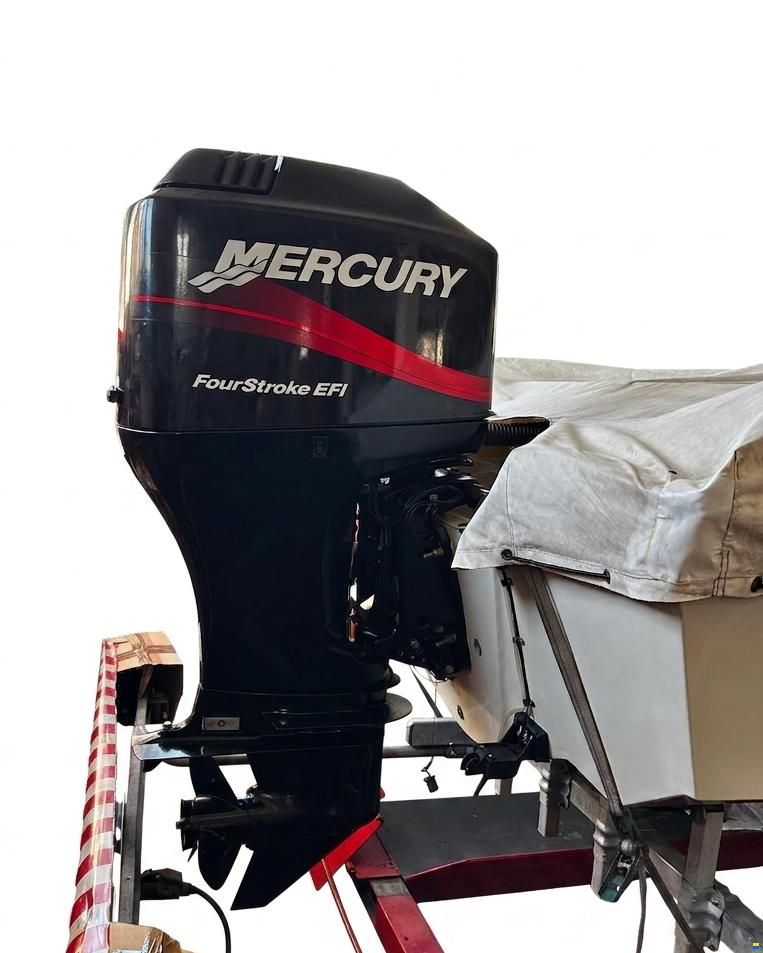 Boston Whaler Montauk 17