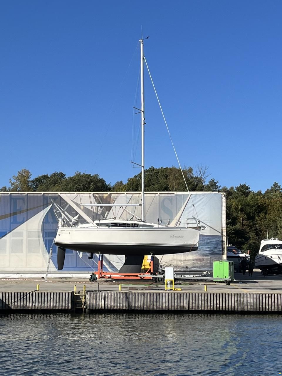 Delphia 31