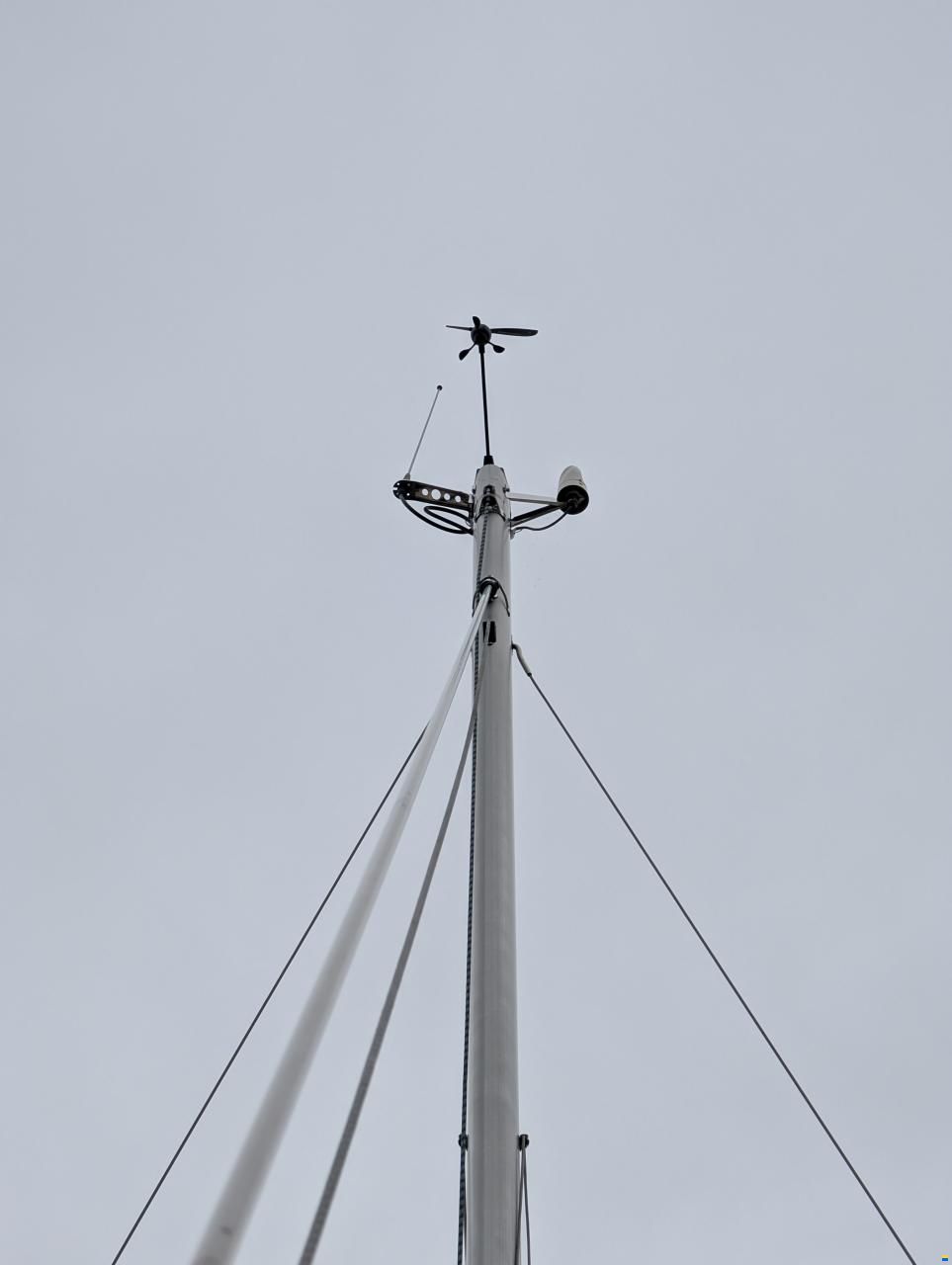 Delphia 31