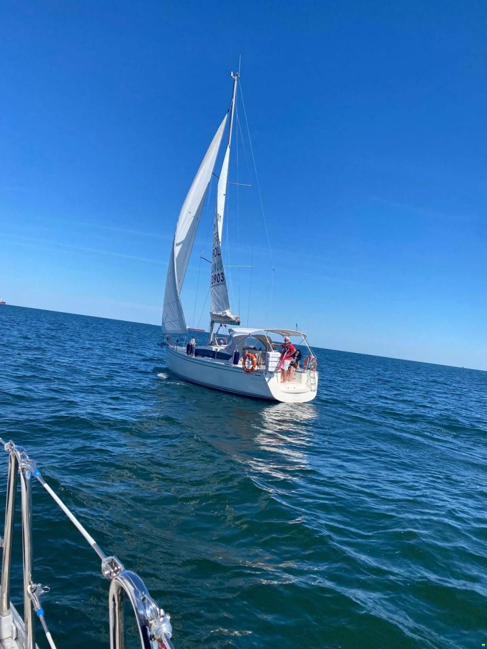 Delphia 31