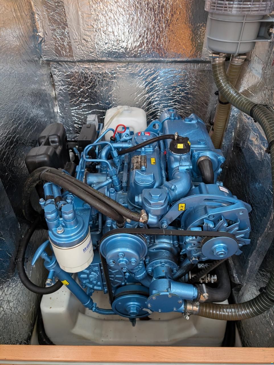 Delphia 31