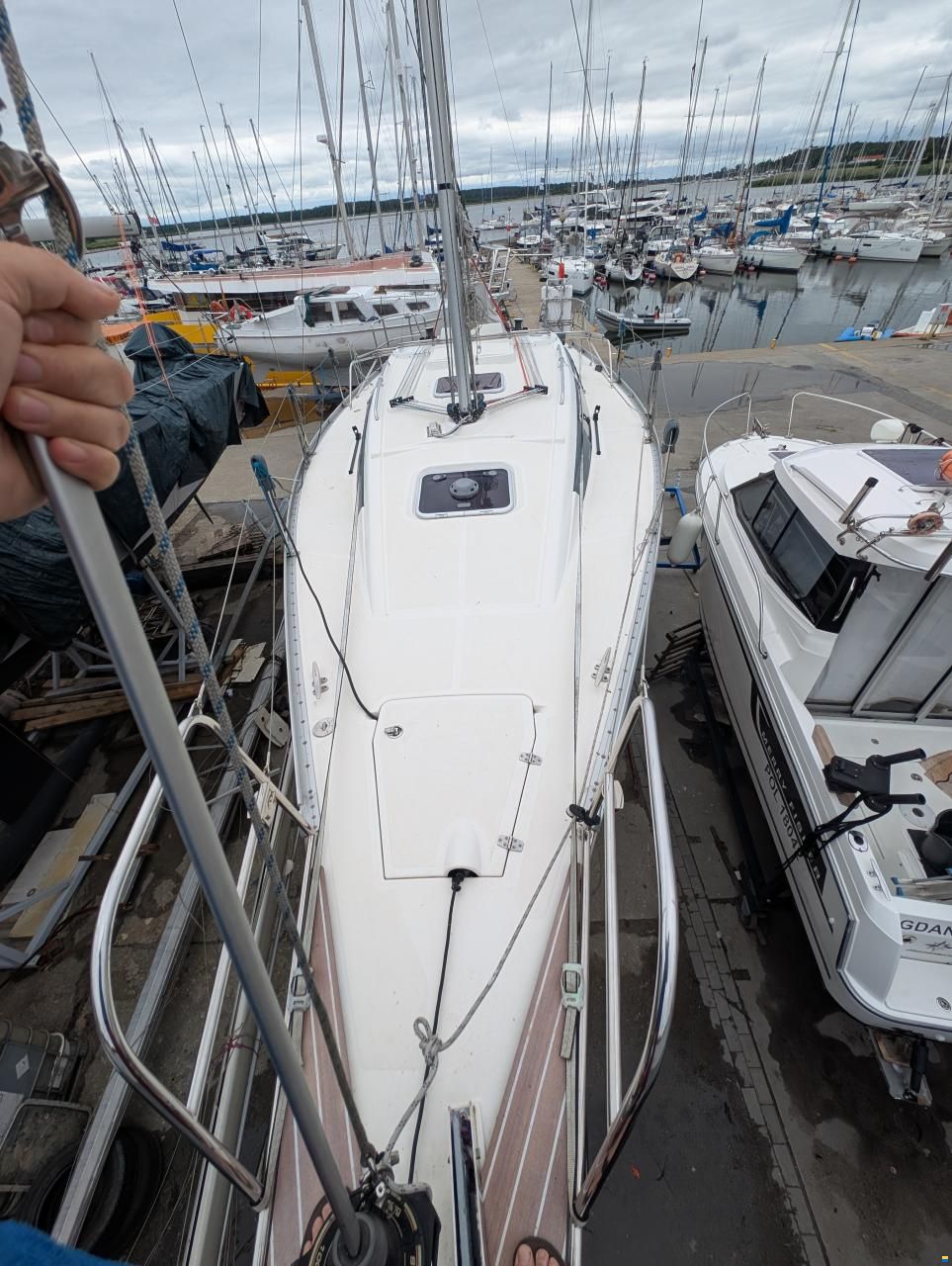 Delphia 31