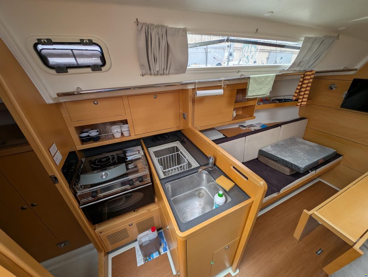 Delphia 31