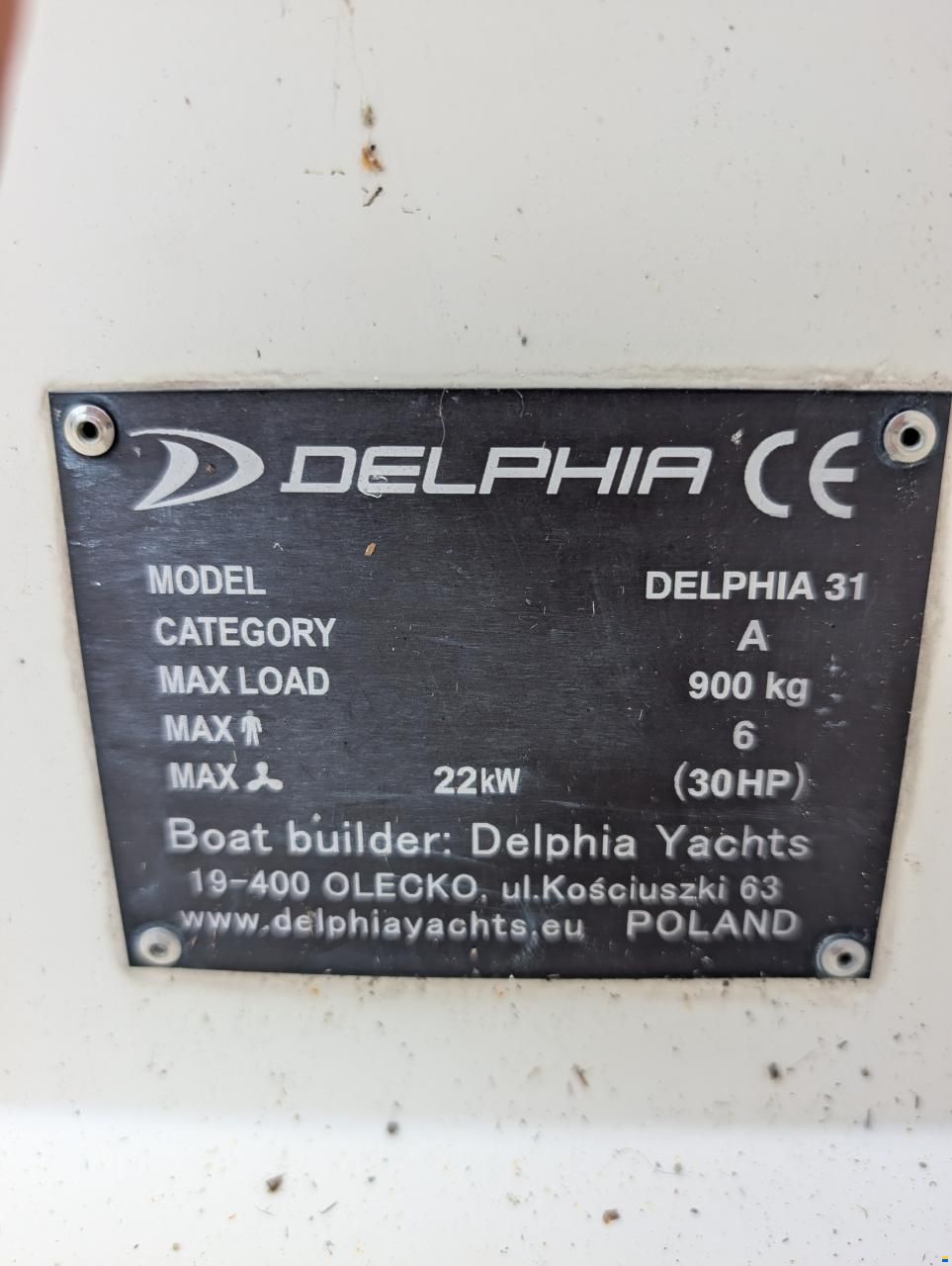 Delphia 31