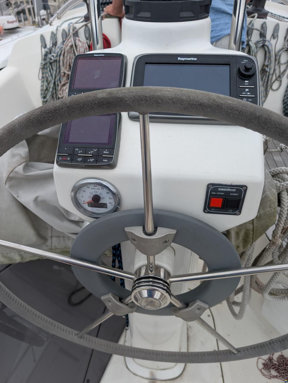 Delphia 31