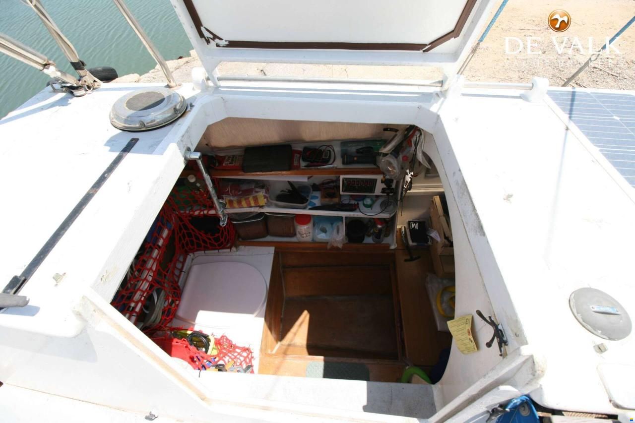 Wharram Tiki 30