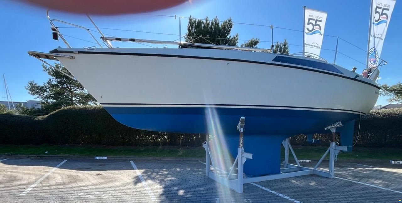 Maxi 84