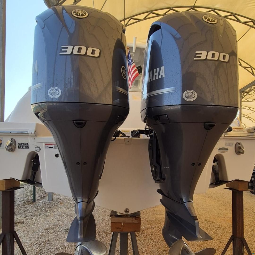 Sea Fox 288 commander