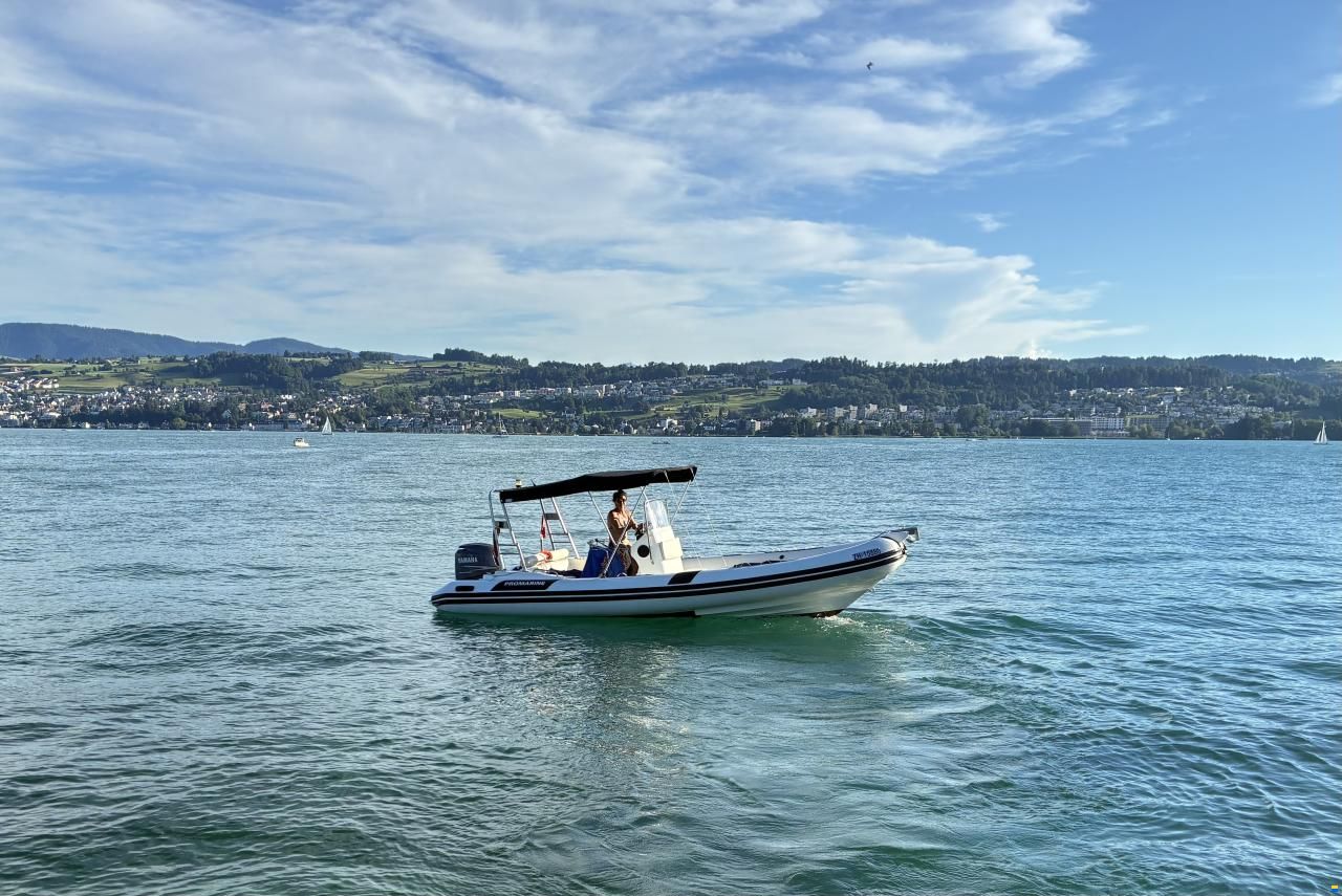 ProMarine PromarinePM 010231