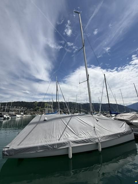 Bluboats blu26