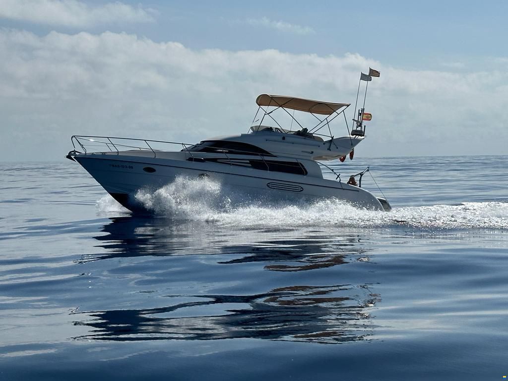 Astondoa 39AS