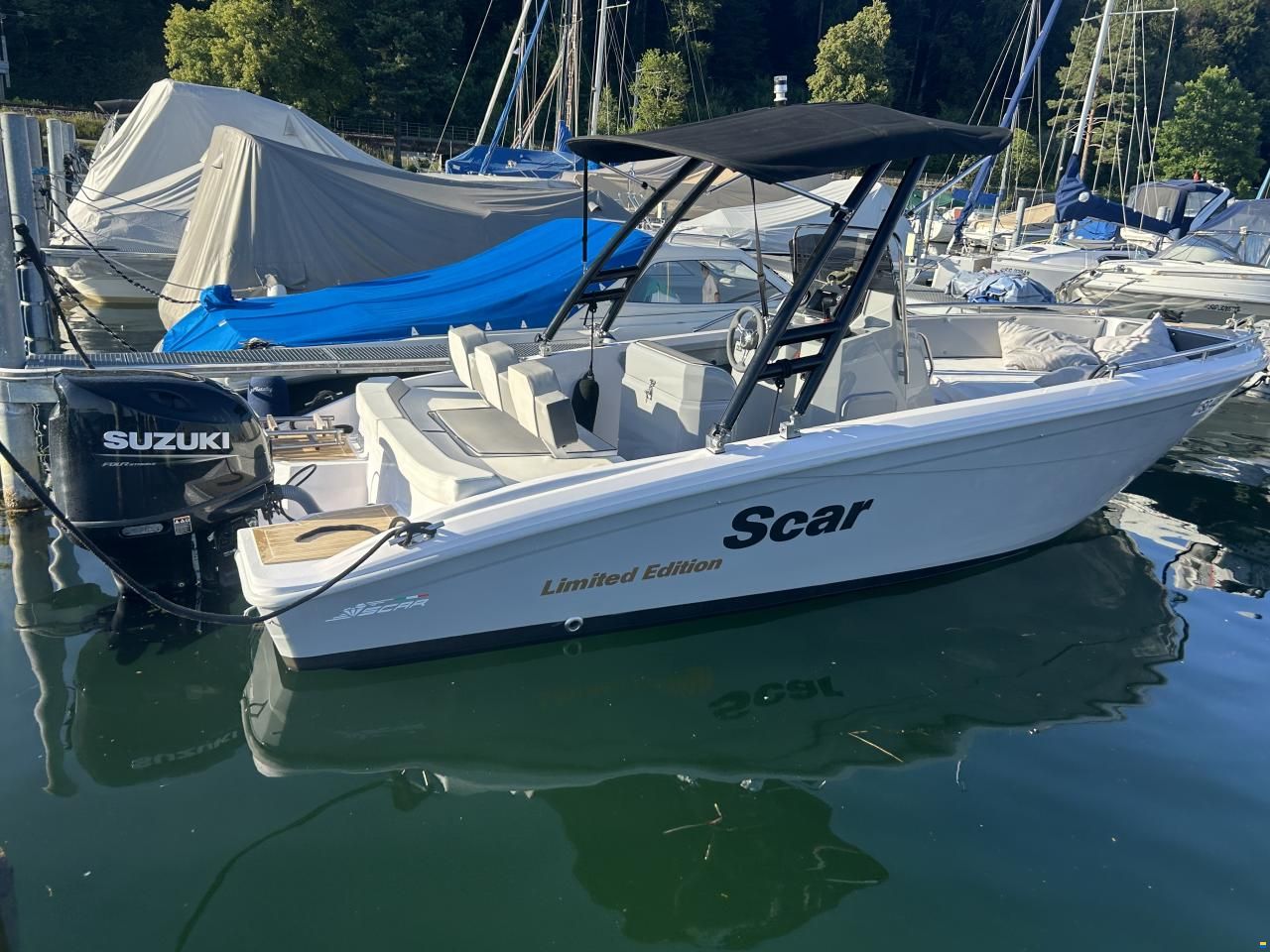 Scar Limited Edition