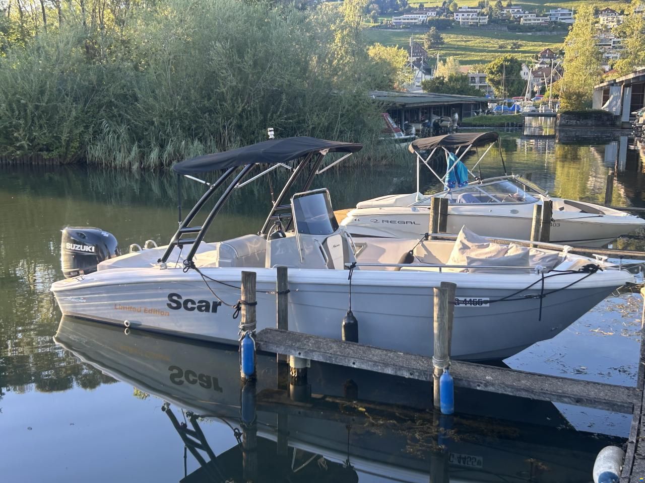 Scar Limited Edition