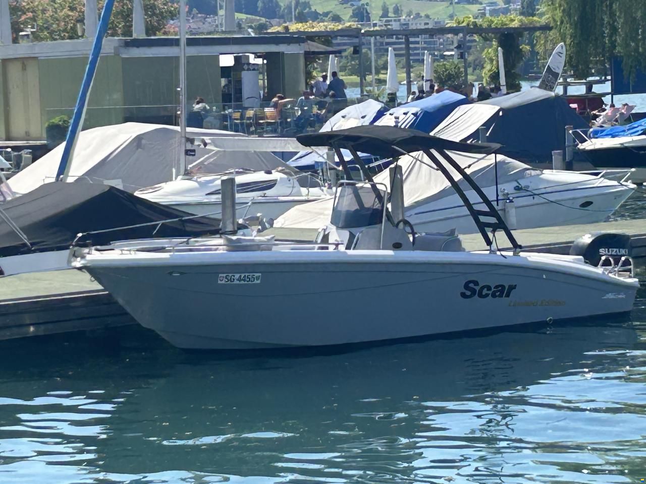 Scar Limited Edition