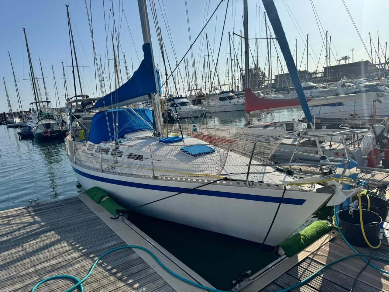 Furia 37