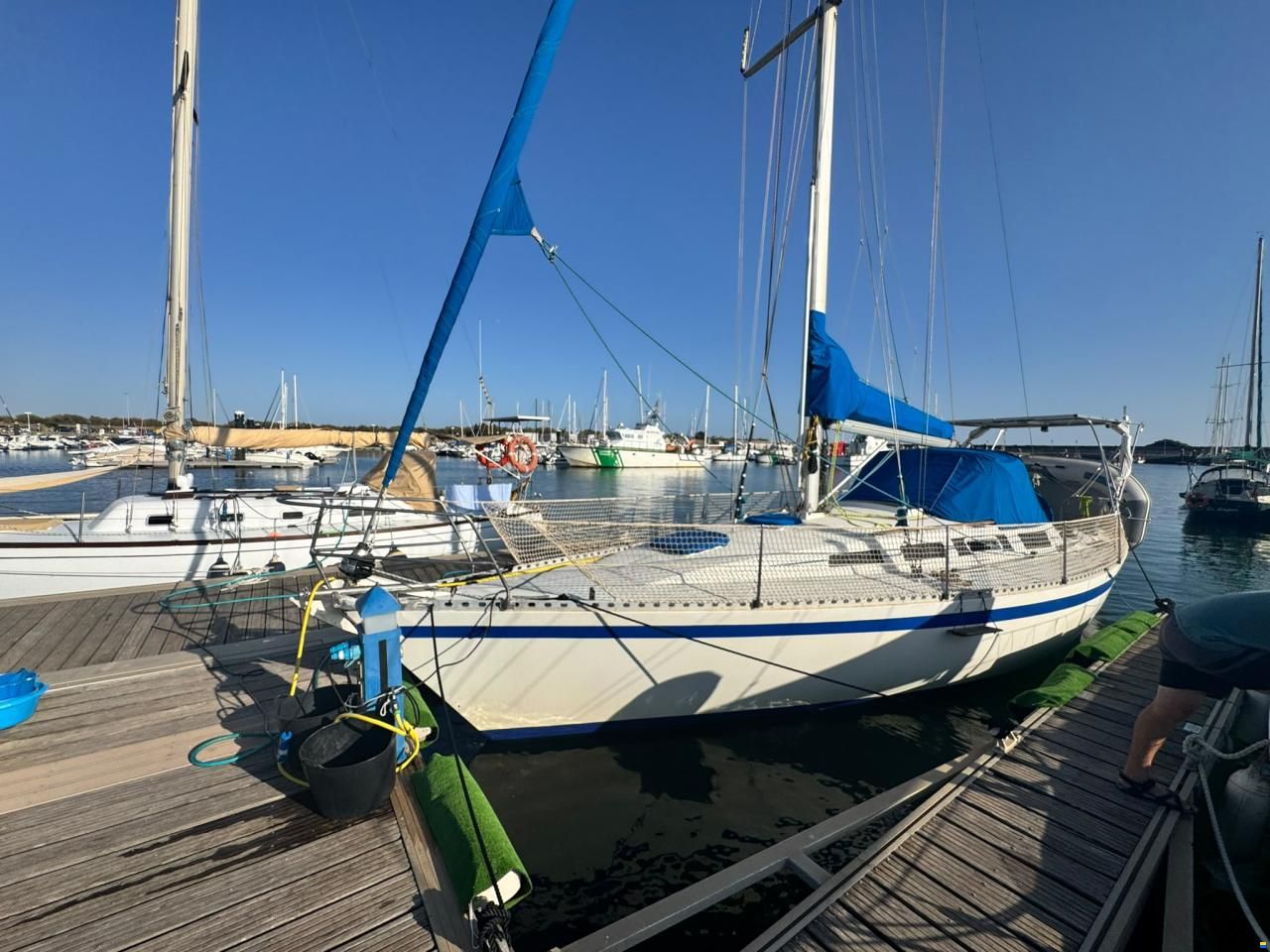 Furia 37