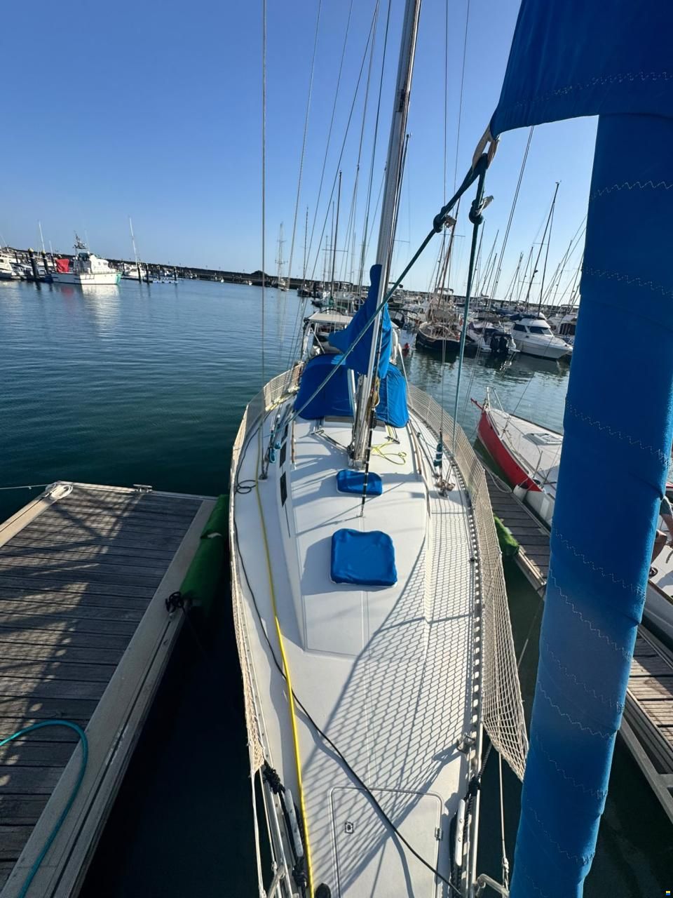 Furia 37