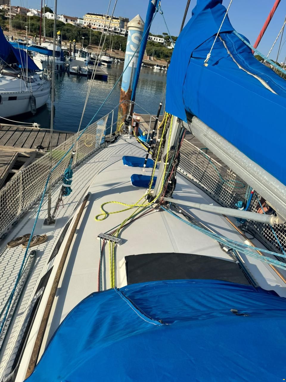 Furia 37