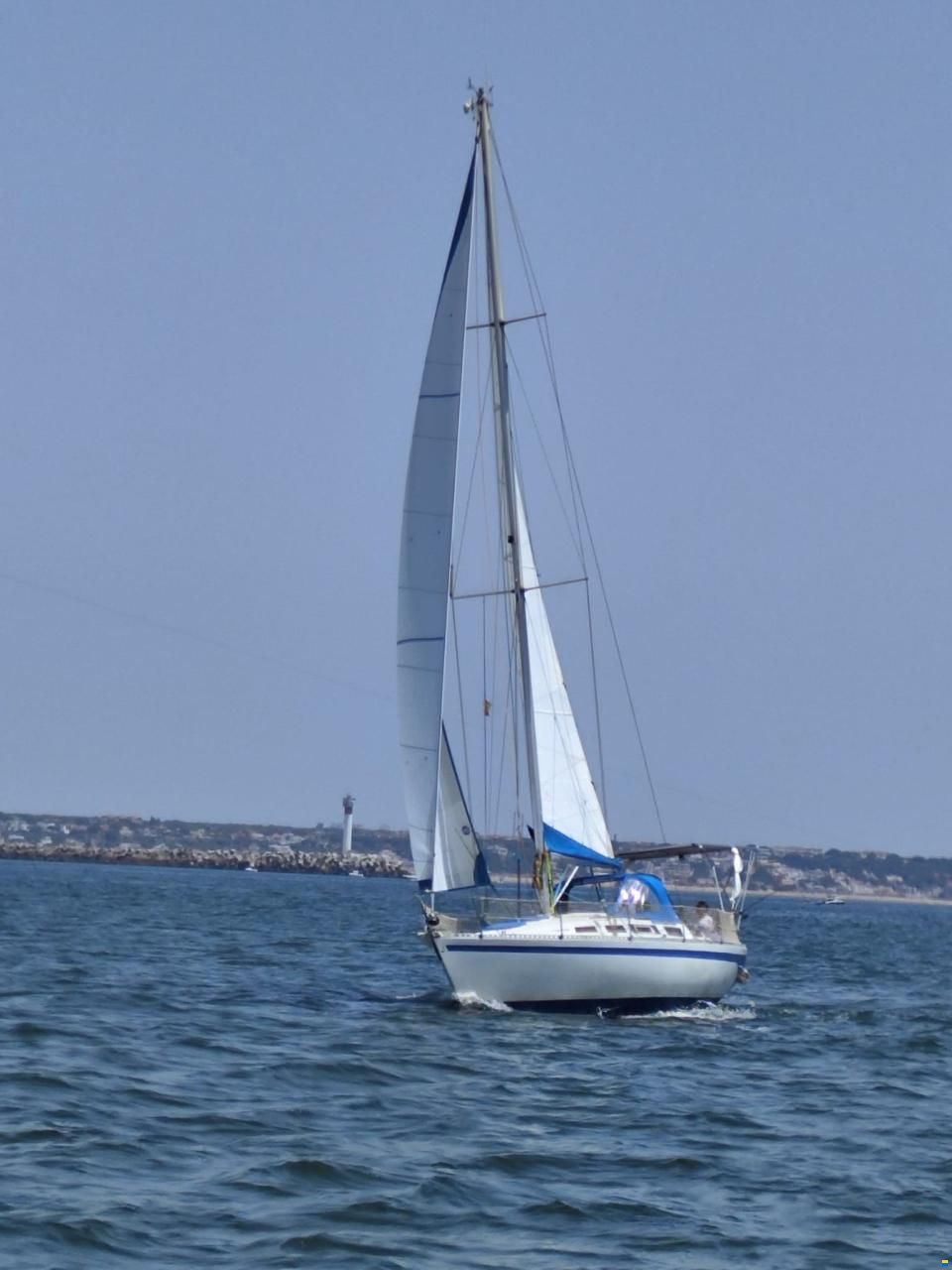 Furia 37