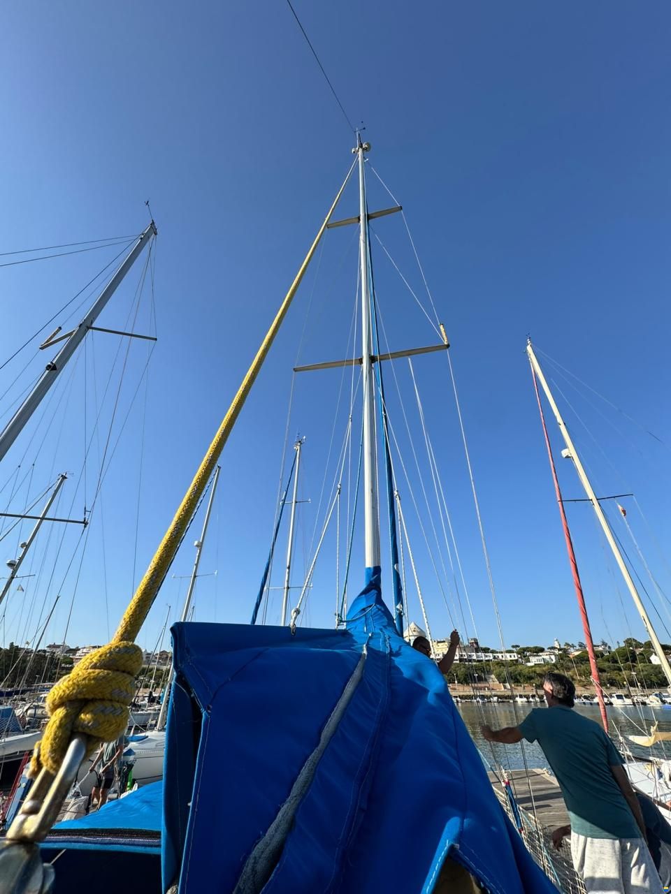 Furia 37