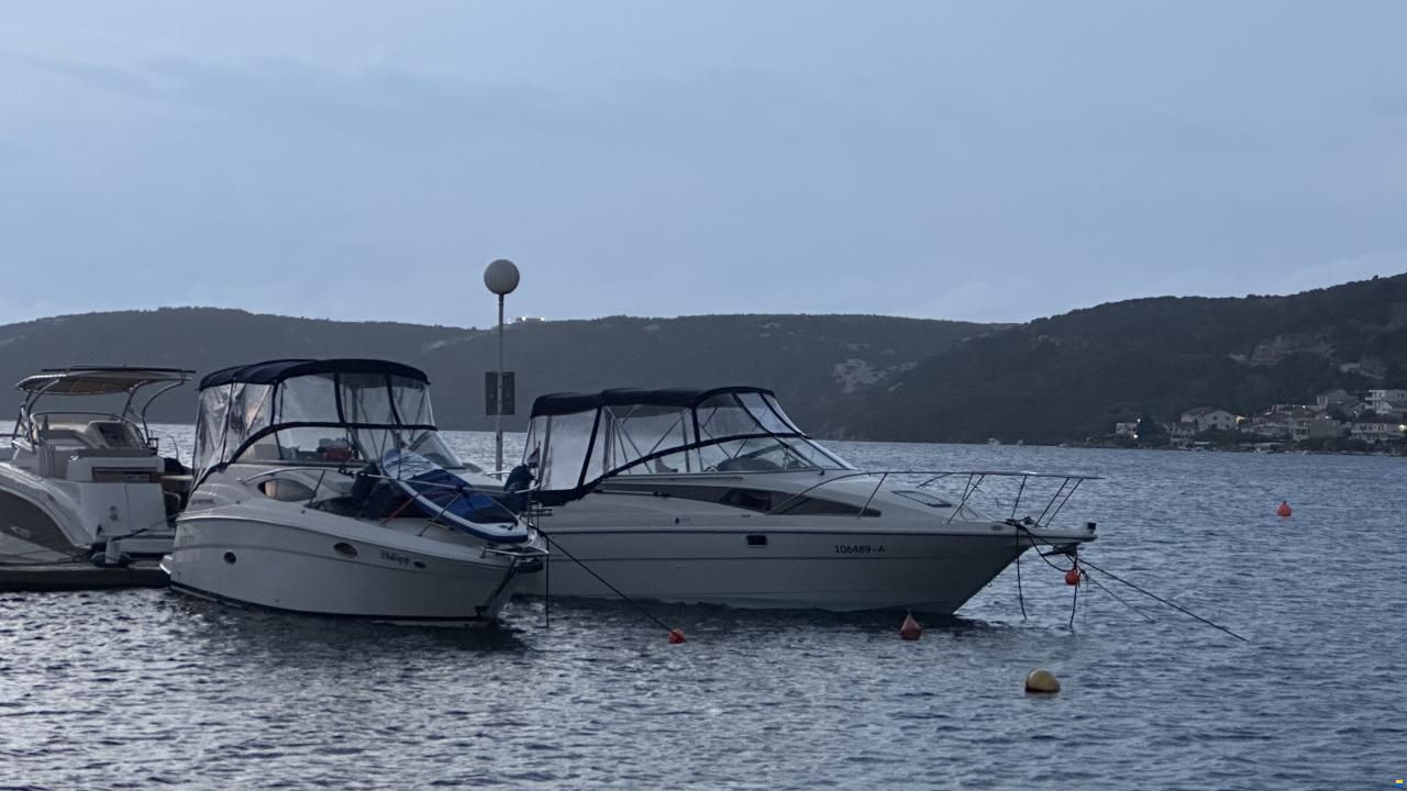 Bayliner DC 2655