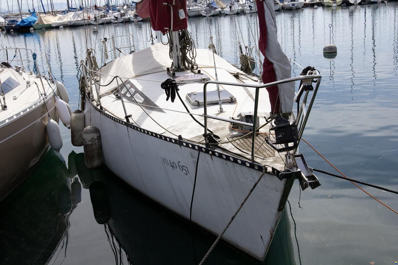Grisbi 36