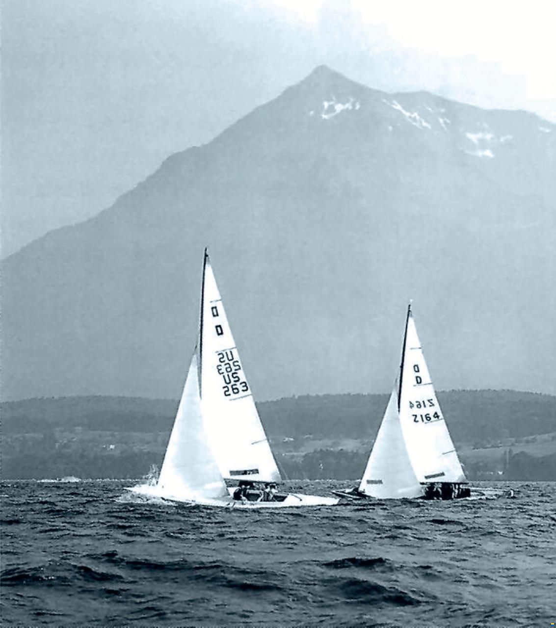Wirz Drachen Z-164