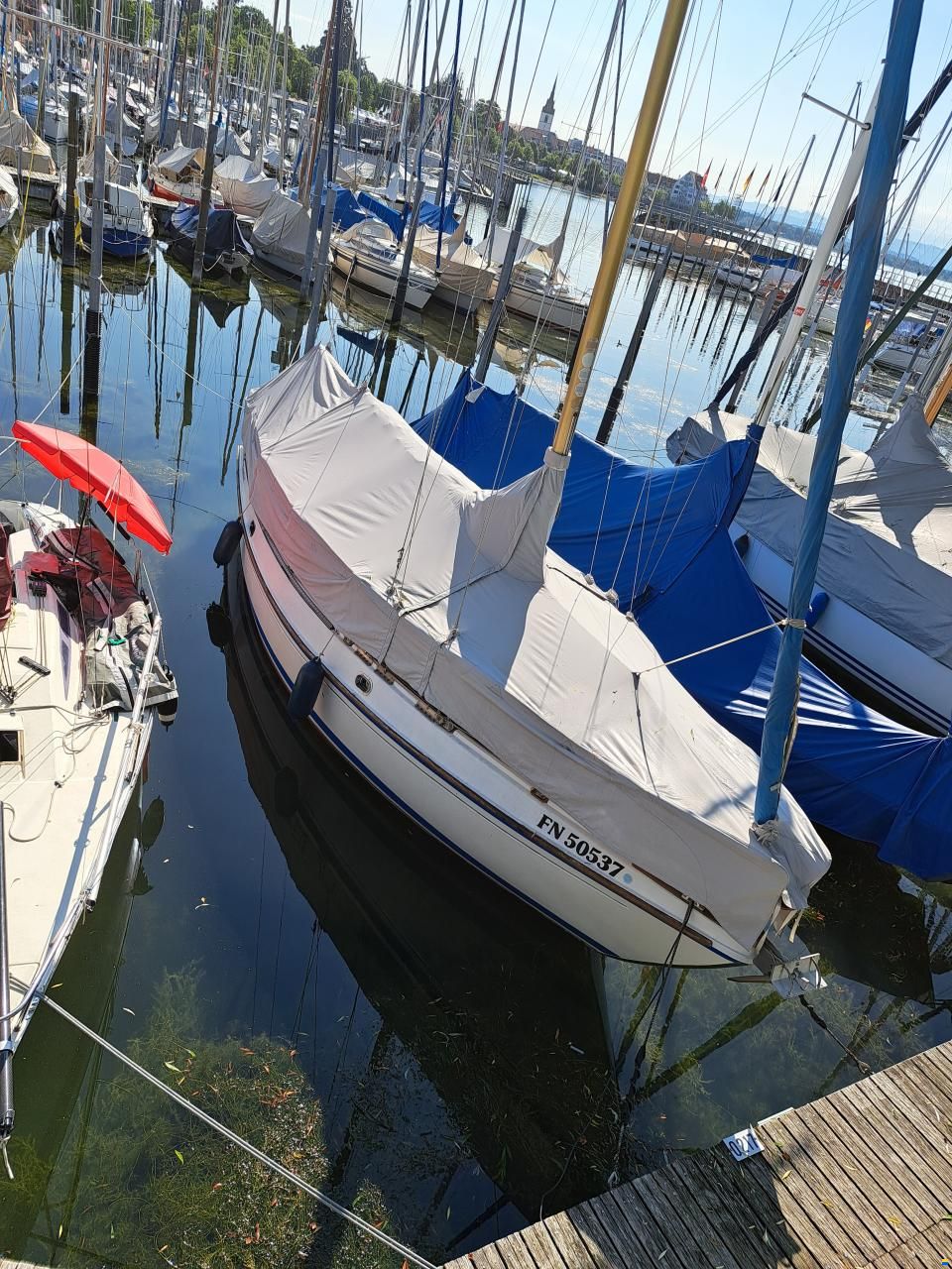 Deerberg Saphir 3