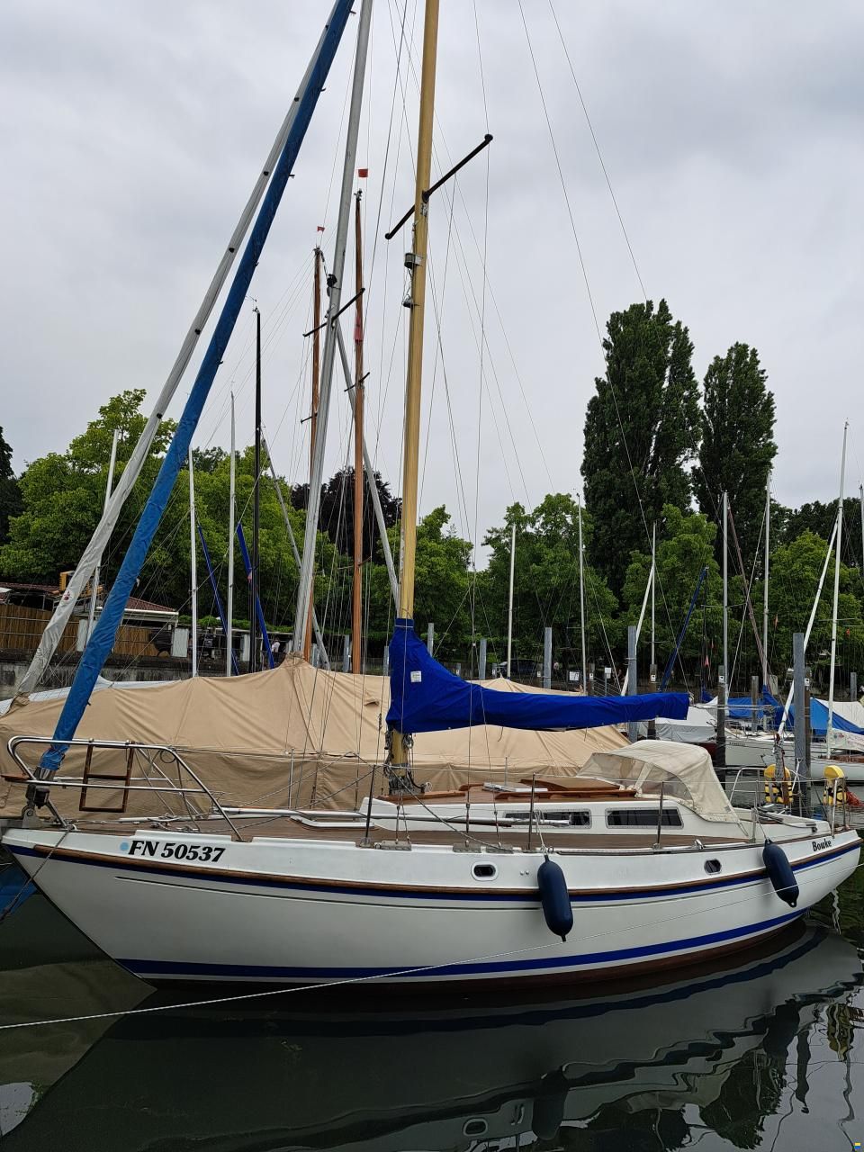 Deerberg Saphir 3