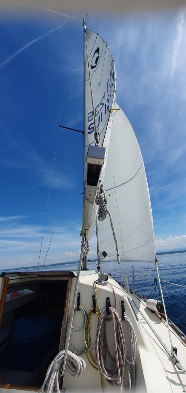 Bavaria 606